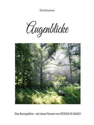 cover image of Augenblicke